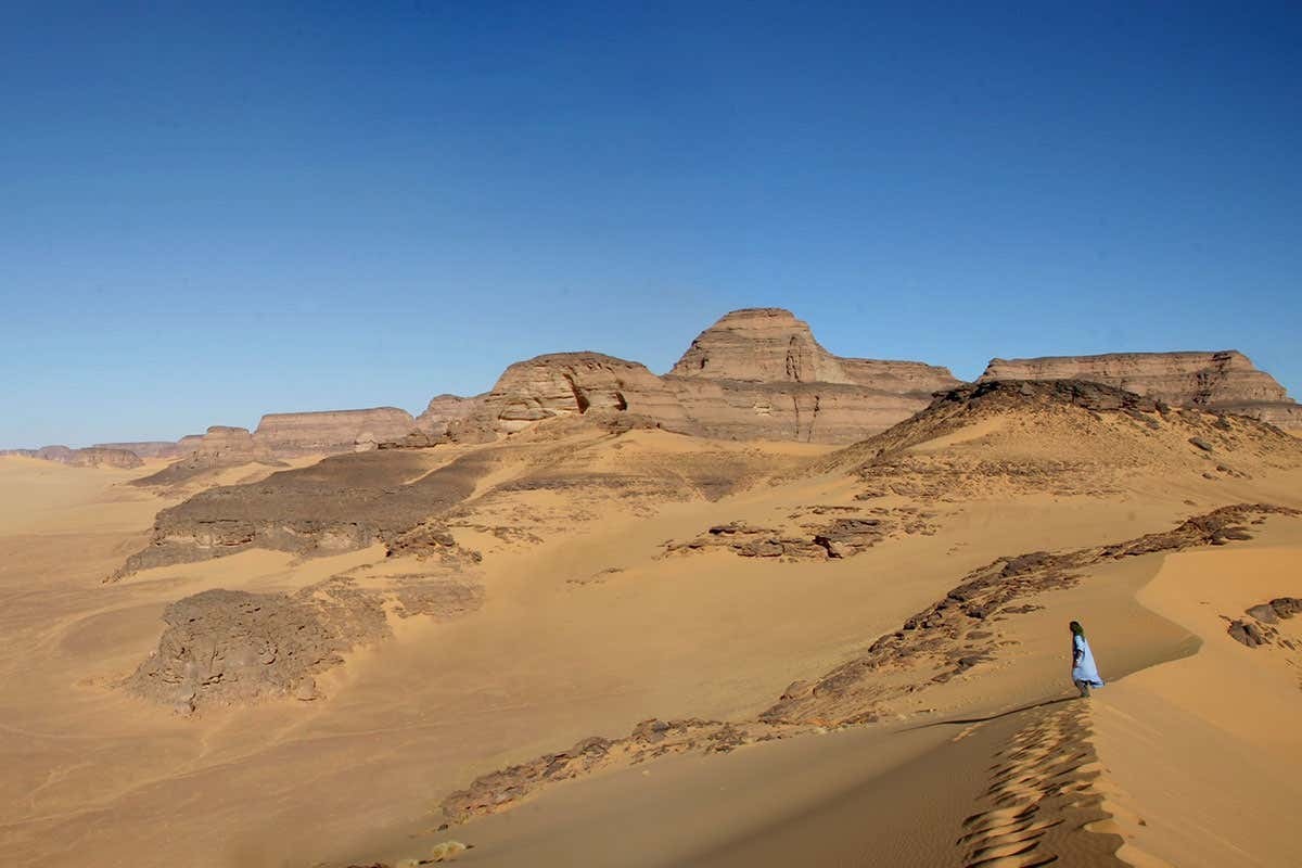 البشر القدماء في الصحراء الكبرى تغذّوا على الأسماك قبل جفاف بحيراتها