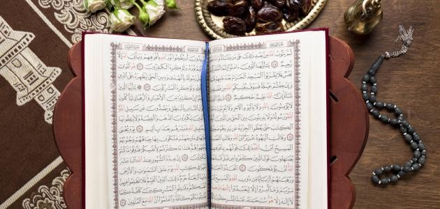 كم عدد السجدات في القران الكريم