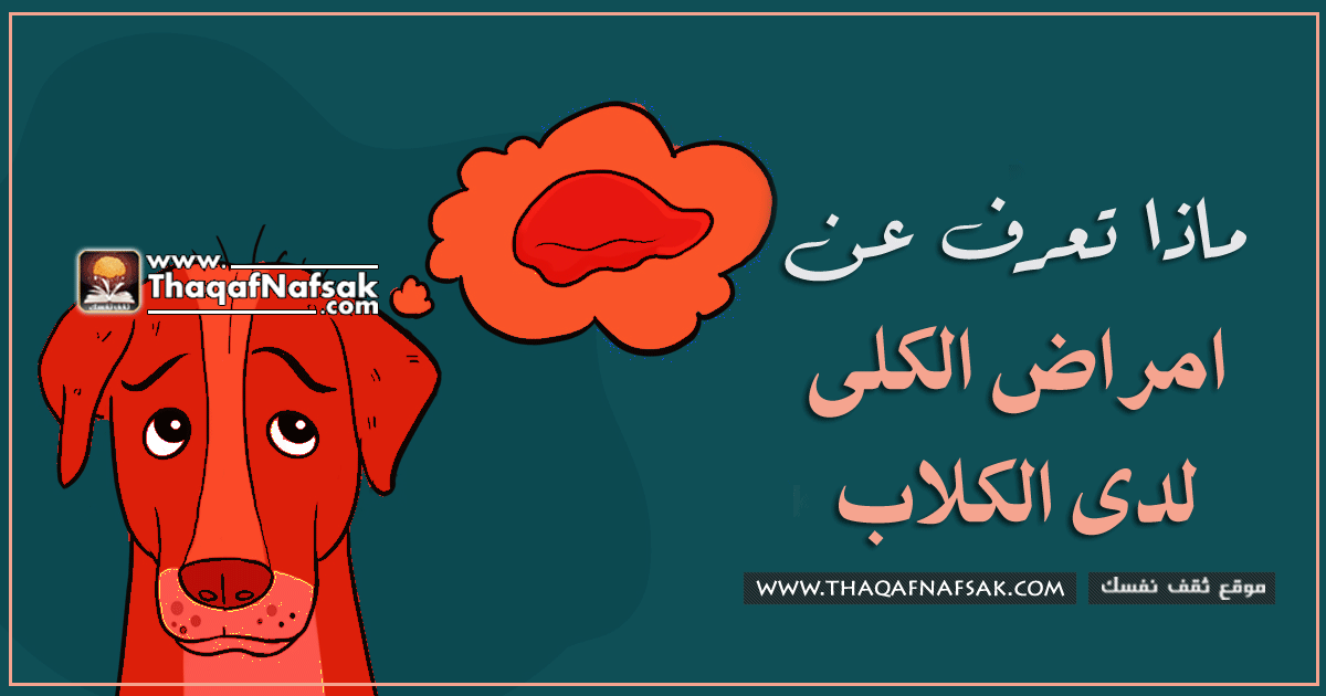 امراض الكلى في الكلاب : علامات الاصابه وأسبابها وكيف تتصرف ؟