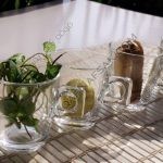 مشروب تنحيف بالفيديو حضره لتنحيف ٦ كيلو أسبوعيا