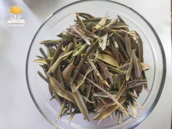 شامبو للشعر الهايش من ورق الزيتون بالفيديو حضرية ليكون شعرك ناعم