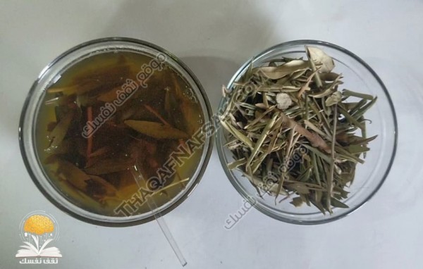 شامبو للشعر الهايش من ورق الزيتون بالفيديو حضرية ليكون شعرك ناعم