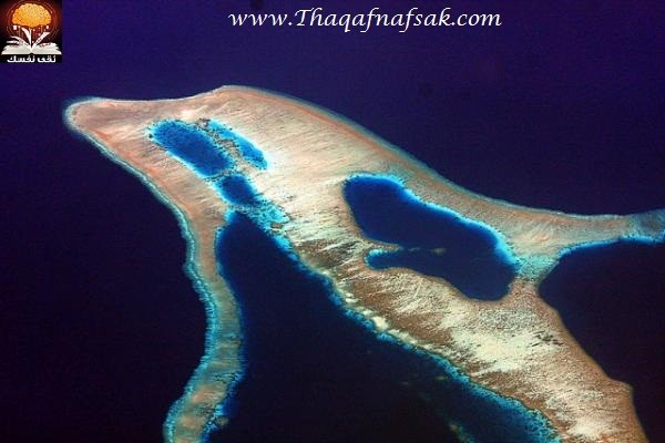 بالصور أغرب 12 جزيرة على كوكب الأرض بالصور أغرب 12 جزيرة على كوكب الأرض