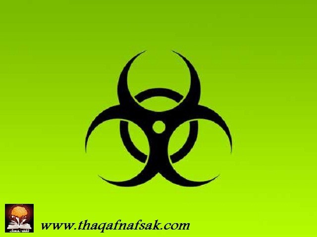 كلمات انتقلت من اللغة العربية للإسبانية