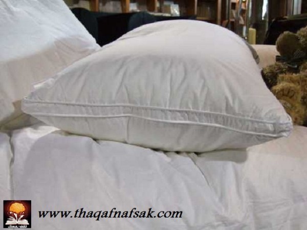 كلمات انتقلت من اللغة العربية للإسبانية