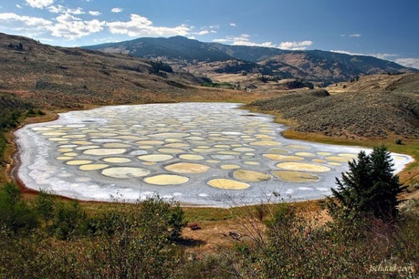 البحيرة المرقطه من أحد مظاهر جمال الطبيعة