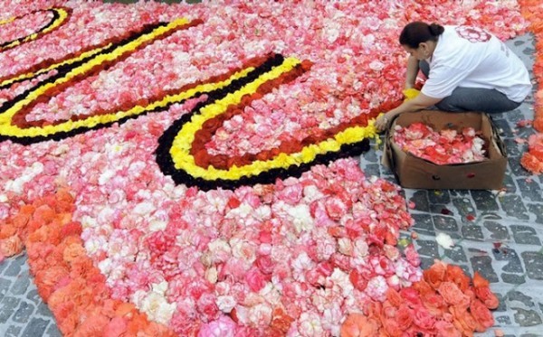 سجادة الزهور في بروكسيل – سجادة من 700000 زهرة