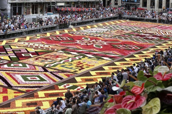 سجادة الزهور في بروكسيل – سجادة من 700000 زهرة