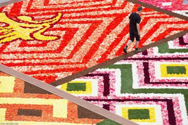 سجادة الزهور في بروكسيل – سجادة من 700000 زهرة