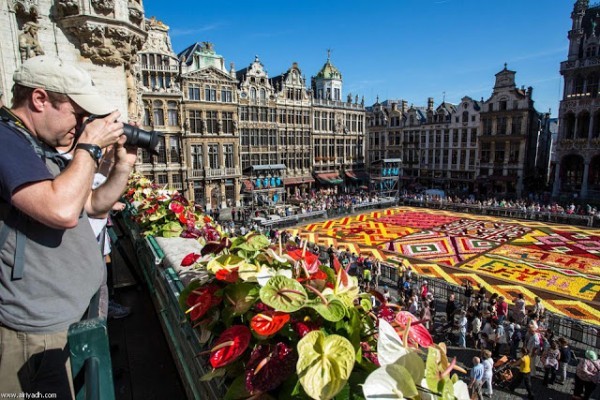 سجادة الزهور في بروكسيل – سجادة من 700000 زهرة