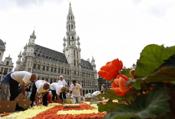سجادة الزهور في بروكسيل – سجادة من 700000 زهرة