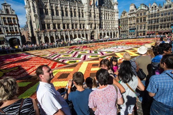 سجادة الزهور في بروكسيل – سجادة من 700000 زهرة
