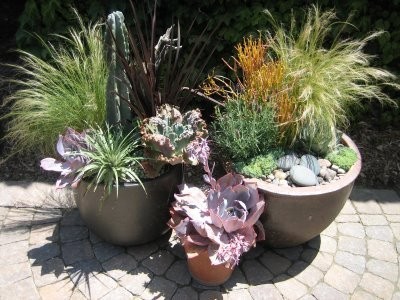 بعض النصائح للزراعة المنزلية في حيز محدود