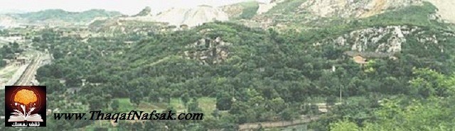 حفريات إنسان بكين