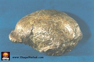 حفريات إنسان بكين