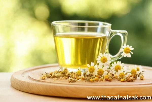 أهم الأعشاب من حولنا وفوائدها أهم الأعشاب من حولنا وفوائدها