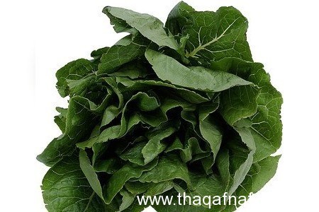 10 خضروات لنظام غذائي صحي لتكون صحتك أقوى