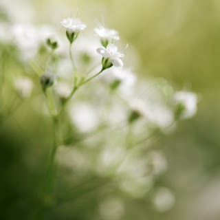 لونك المفضل وعلاقته بشخصيتك ؟!