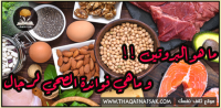 فوائد البروتين للرجال إنه حقاً مُهم لكل رجل فوائد البروتين للرجال إنه حقاً مُهم لكل رجل