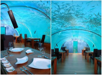 مطعم تحت الماء في جزر المالديف ، بالصور