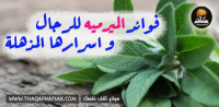 فوائد الميرمية للرجال ٨ أسباب تجعلها مهمة لكل رجل فوائد الميرمية للرجال ٨ أسباب تجعلها مهمة لكل رجل
