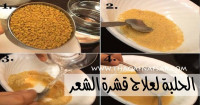 الحلبة لعلاج قشرة الشعر ٥ وصفات ستقول بها وداعاً للقشرة الحلبة لعلاج قشرة الشعر ٥ وصفات ستقول بها وداعاً للقشرة