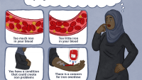 أسباب نقص الفيريتين في الدم ومستوياته الطبيعيه ومضاعفات النقص أسباب نقص الفيريتين في الدم ومستوياته الطبيعيه ومضاعفات النقص