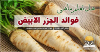 فوائد الجزر الأبيض والفرق بينه وبين الجزر العادي ووصفات رائعة منه فوائد الجزر الأبيض والفرق بينه وبين الجزر العادي ووصفات رائعة منه