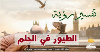 تفسير رؤية الطيور في الحلم ألوان الطيور وتصرفتها وتفسيرات متعدده تفسير رؤية الطيور في الحلم ألوان الطيور وتصرفتها وتفسيرات متعدده