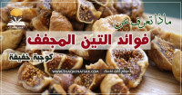 فوائد التين المجفف كوجبة خفيفة وكيف يساعد على فقدان الوزن ؟