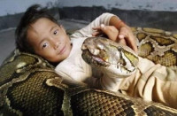 أغرب صداقة في العالم !! طفل و ثعبان !! أغرب صداقة في العالم !! طفل و ثعبان !!