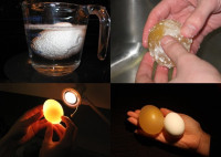 هل رأيت من قبل بيضة عارية – تجربة غريبه بالبيض والخل | بالصور و الفديوا هل رأيت من قبل بيضة عارية – تجربة غريبه بالبيض والخل | بالصور و الفديوا