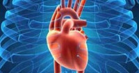 دراسة: تناول كوبين من القهوة يوميا يقى من فشل عضلة القلب