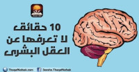 10 حقائق يجب أن تعرفها عن العقل البشرى