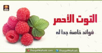 فوائد التوت الأحمر فوائد التوت الأحمر