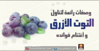 طرق لتناول التوت الأزرق طرق لتناول التوت الأزرق