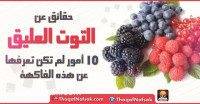 حقائق عن التوت العليق : 10 أمور قد لا تكون تعرفها عن هذه الفاكهة