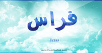معنى اسم فراس وصفات حامل الاسم معنى اسم فراس وصفات حامل الاسم