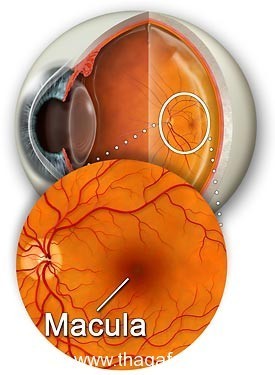 بالصور أسرار لا تعرفها كيف يتم فحص العين ؟ وكيف تفحص عينك بنفسك