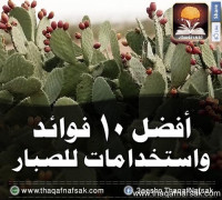 10 فوائد واستخدامات للصبار 10 فوائد واستخدامات للصبار