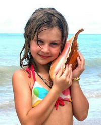 تعرف على سبب سماع صوت المحيط في القواقع تعرف على سبب سماع صوت المحيط في القواقع