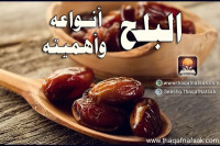 البلح أنواعه وأهميته
