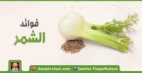 فوائد الشمر للجسم لماذا يجب عليك تناوله دائما فوائد الشمر للجسم لماذا يجب عليك تناوله دائما