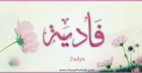 معنى اسم ” فادية ” وصفات حاملة الاسم معنى اسم ” فادية ” وصفات حاملة الاسم
