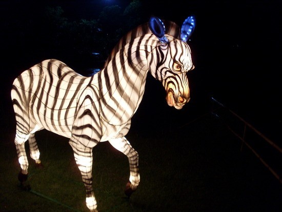 أجمل مهرجانات العالم ’’مهرجان المصابيح في تايلند ‘‘ سيذكرك بفيلم ديزني الشهير Tangled