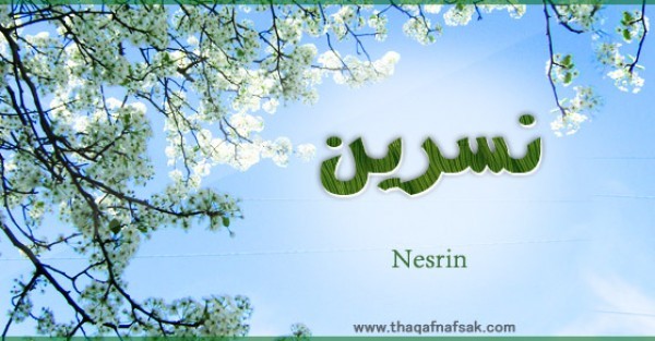 معنى اسم نسرين وصفات حاملة الاسم معنى اسم نسرين وصفات حاملة الاسم