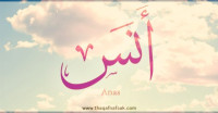 معنى اسم ” أنس” وصفات حامل الاسم معنى اسم ” أنس” وصفات حامل الاسم