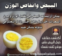 حقائق لا تعرفها عن البيض حقائق لا تعرفها عن البيض