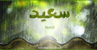 معنى اسم سعيد وصفات حامل الاسم معنى اسم سعيد وصفات حامل الاسم
