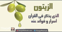 فوائد الزيتون